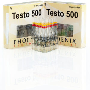 testo 500